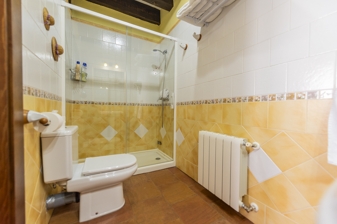 160857310124Casa-rural-la-torre-aldeonsancho_DSC7992
