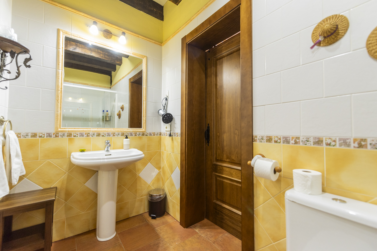 160928310124Casa-rural-la-torre-aldeonsancho_DSC7994