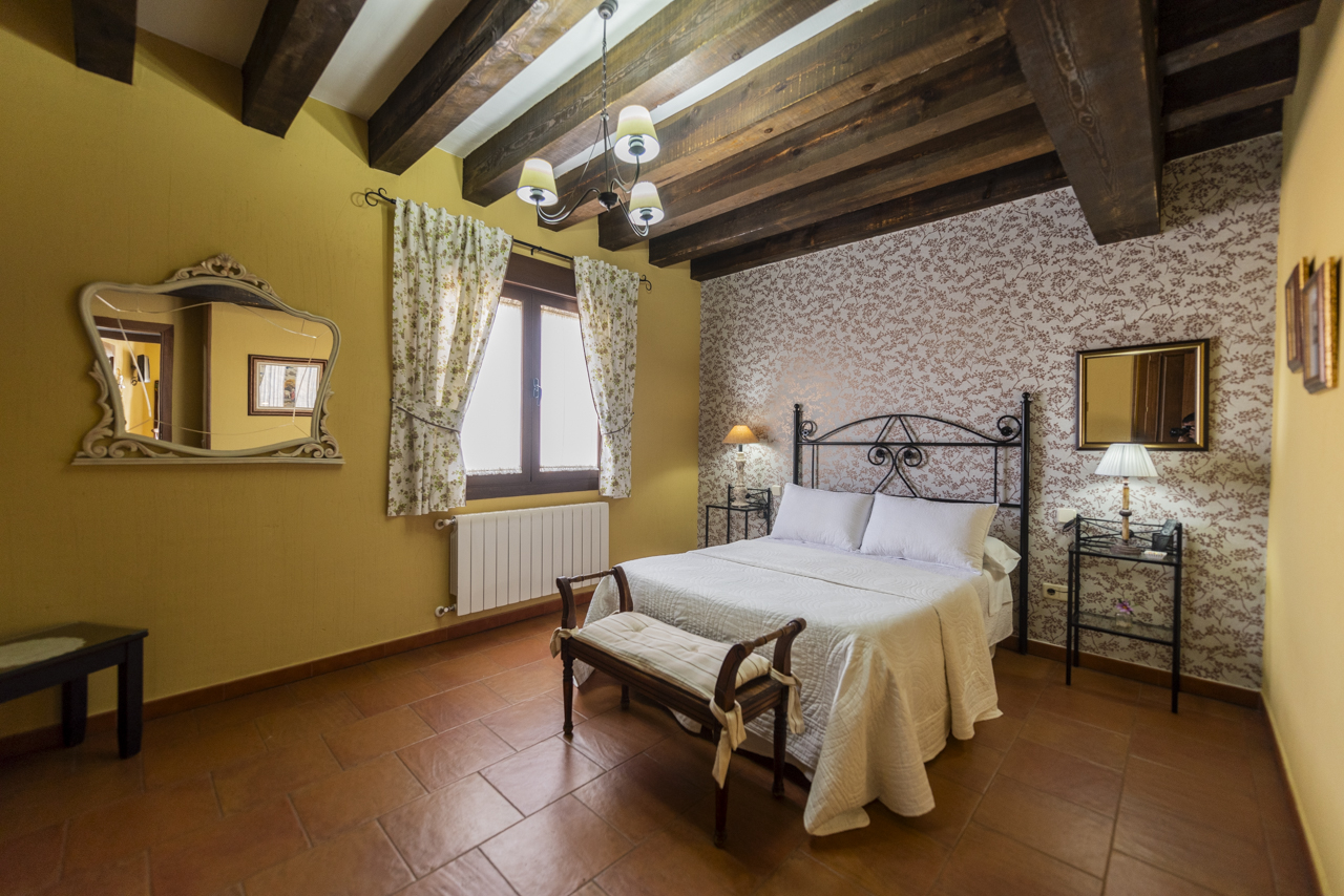 161037310124Casa-rural-la-torre-aldeonsancho_DSC7998