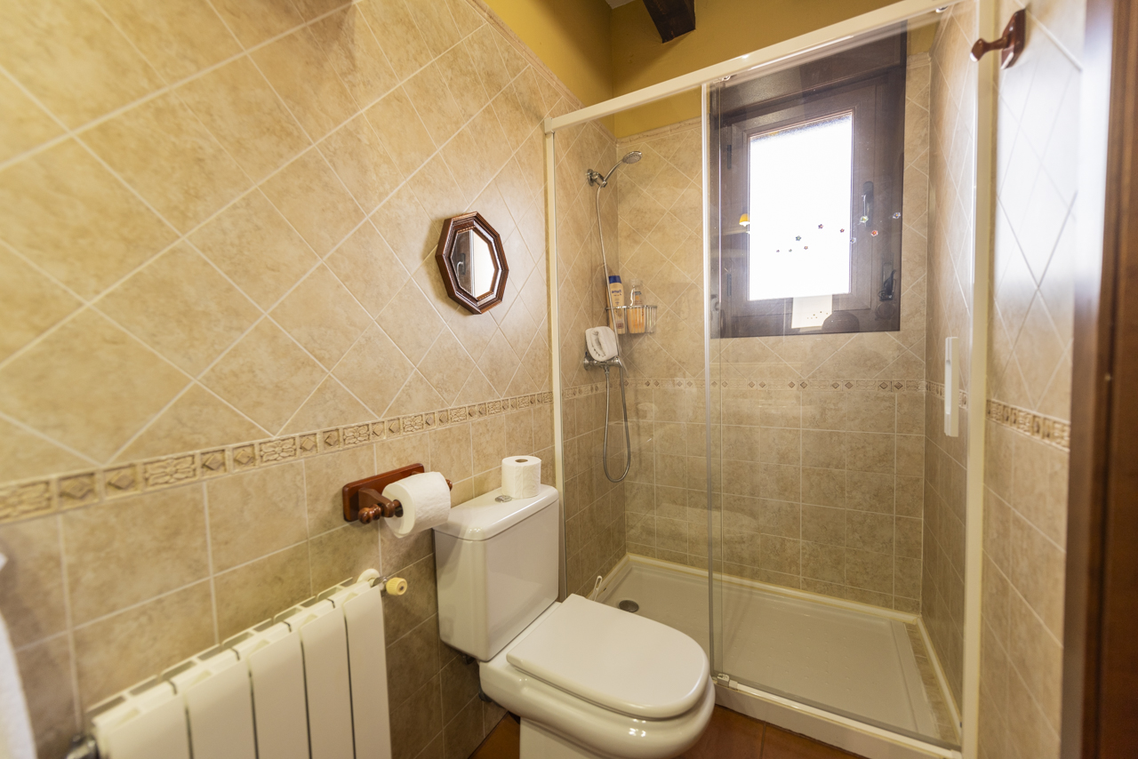 161222310124Casa-rural-la-torre-aldeonsancho_DSC8008