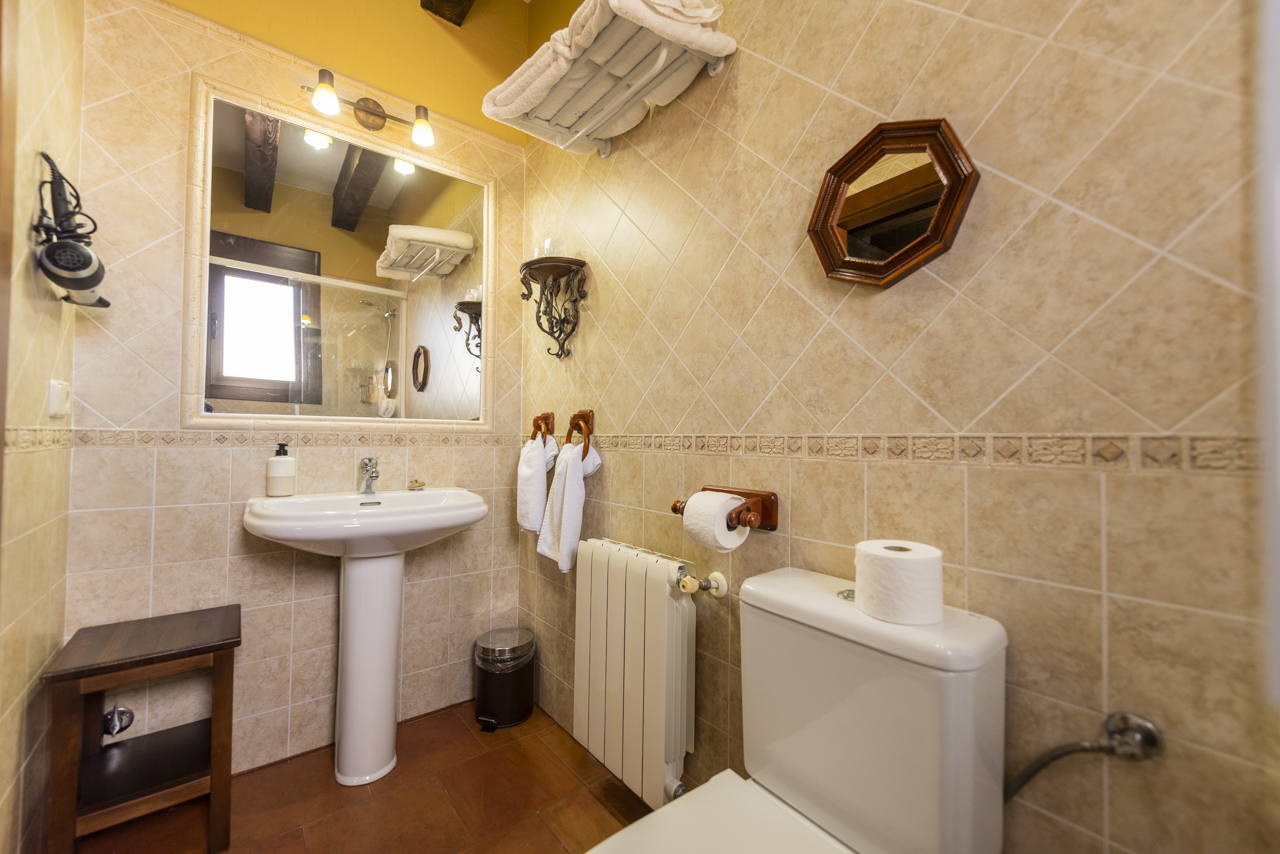 161330310124Casa-rural-la-torre-aldeonsancho_DSC8012