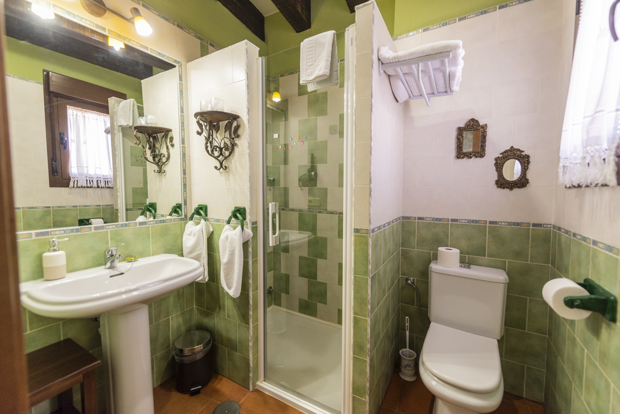 161731310124Casa-rural-la-torre-aldeonsancho_DSC8033