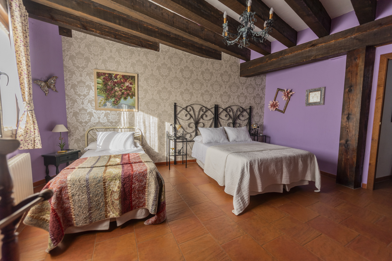 162028310124Casa-rural-la-torre-aldeonsancho_DSC8047