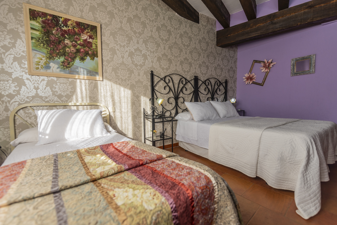 162112310124Casa-rural-la-torre-aldeonsancho_DSC8049