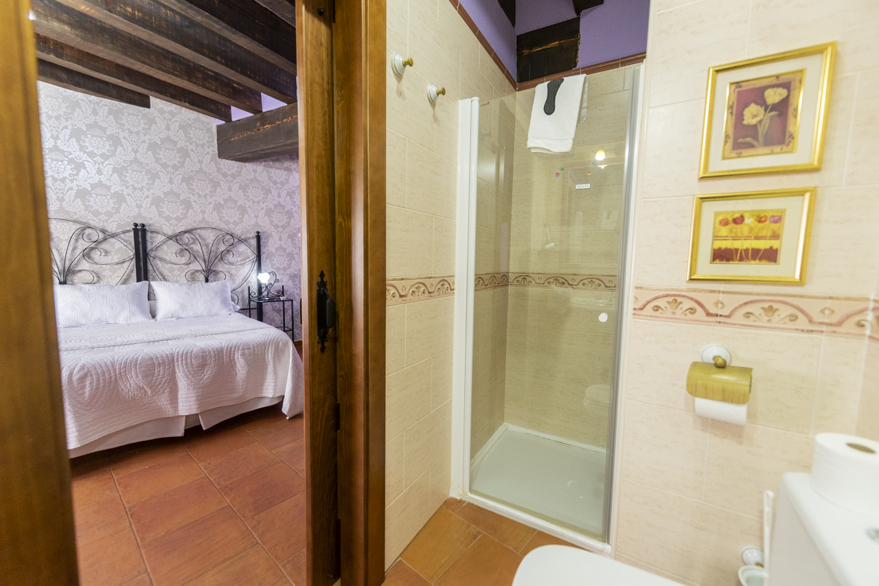 162307310124Casa-rural-la-torre-aldeonsancho_DSC8062