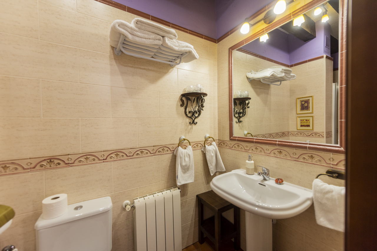 162341310124Casa-rural-la-torre-aldeonsancho_DSC8065