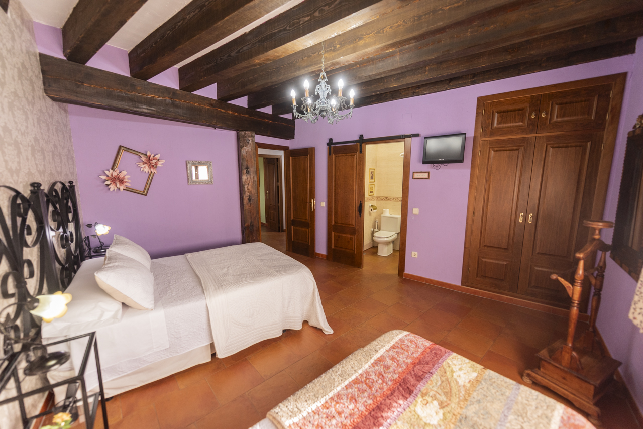 162613310124Casa-rural-la-torre-aldeonsancho_DSC8076